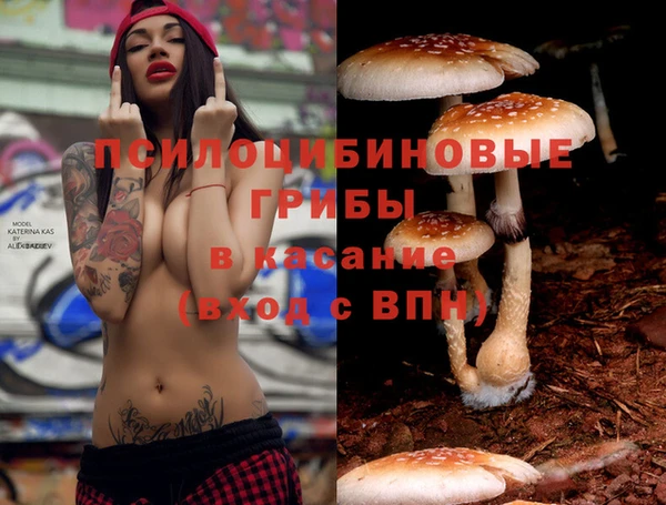 амфетамин Ладушкин