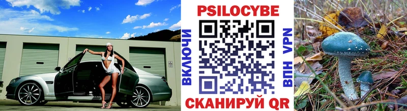Псилоцибиновые грибы GOLDEN TEACHER Новотроицк