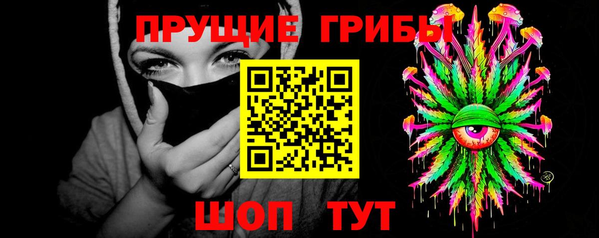 Галлюциногенные грибы Cubensis Новотроицк